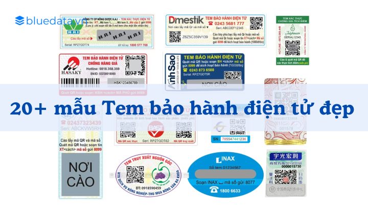 10+ mẫu Tem bảo hành điện tử đẹp: Đa dạng hình dáng, kích thước và mẫu mã