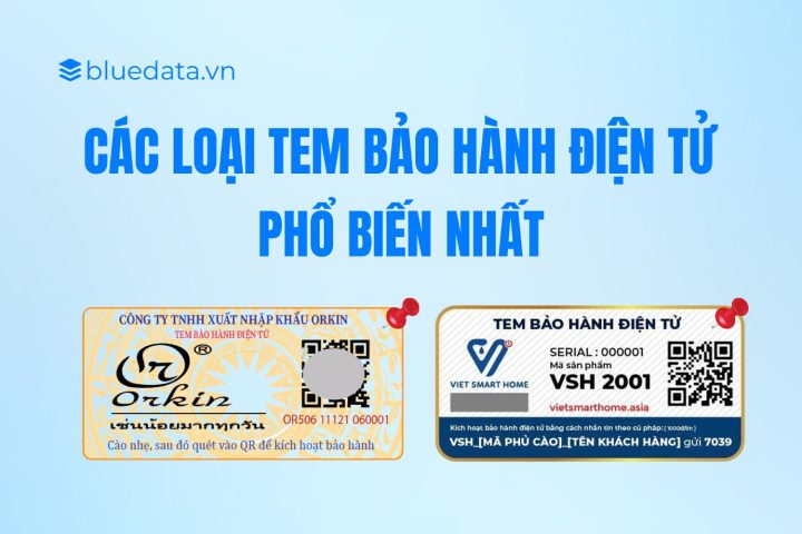 Các loại tem bảo hành điện tử phổ biến nhất 2024